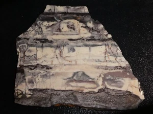 Porzellan Jaspis Platte 5 1/2 x 5 1/4" Cabbing grob--Display-Geologie- - Bild 1 von 3