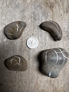 Lote De Piedras Relámpagos Suaves Michigan Piedras Curativas Septarianas Lote Ls1 - Imagen 1 de 2