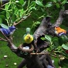 1 SET Resin Miniature Birds Figurines Simulation Sparrow Model  Outdoor Indoor