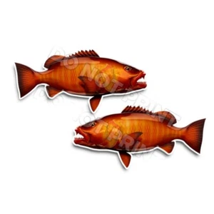 Casa rodante Cubera pargo calcomanías pegatinas peces caja de aparejos remolque camión camping AFP-0176 - Imagen 1 de 2