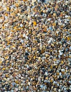 ALPINE FINE GRAVEL 3mm-8mm | Terrarium Supplies | Pot Toppers | Drainage Layer - Picture 1 of 9