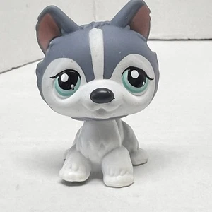 Littlest Pet Shop Husky grau kein # Puzzle Hund LPS - Bild 1 von 8