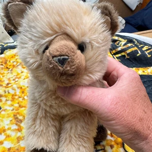 Douglas Mitzy Himalayan Cat 14" - Picture 1 of 10