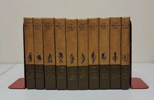 VTG The Book Of Life 10 Volume Set 32nd Edition 1970. #335 - Foto 1 di 11