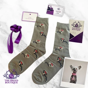 CHINESE CRESTED SOCKS CHRISTMAS DESIGN UNISEX ONE SIZE FIT UK 5-11 EU 38-46 - Picture 1 of 9