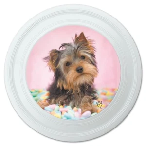 Yorkie Yorkshire Terrier Hund Süßigkeiten Eier Ostern Neuheit 9" fliegende Scheibe - Bild 1 von 4