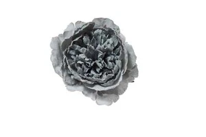 ARPIMEX Pick Pfingstrose Im Schnee 23 CM Blau - Bild 1 von 1