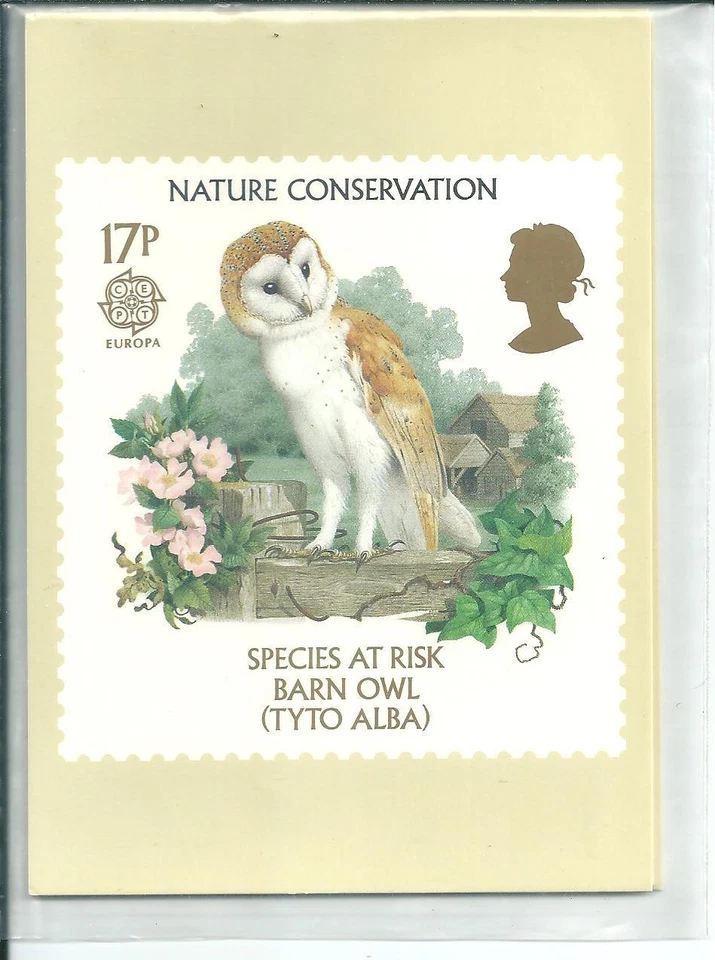 GB - TARJETAS PHQ - 1986 - CONSERVACIÓN DE LA NATURALEZA - PARTE POSTERIOR - FDI/SHS - JUEGO COMP USADO Foto 1 de 1