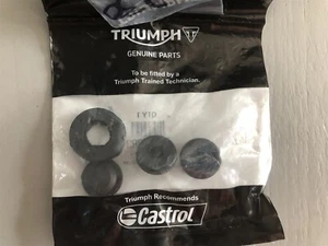 TRIUMPH 3.T GUMMIS T2307283 - Bild 1 von 2