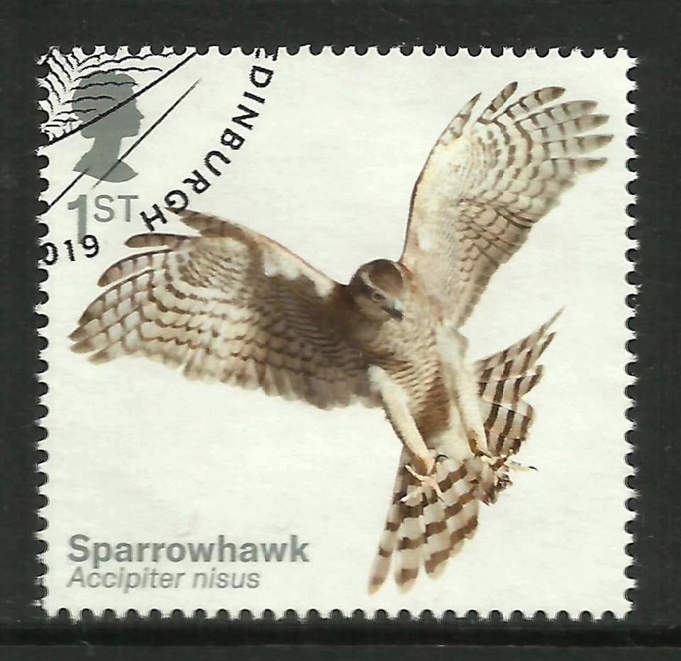 GB 2019 QE2 1st Birds of Prey ' Sparrowhawk ' Ex Fdc SG 4207 ( J1361 ) - Image 1 of 1