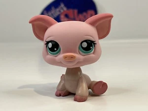 PIG #377 - Authentic Littlest Pet Shop - Hasbro LPS - Picture 1 of 4