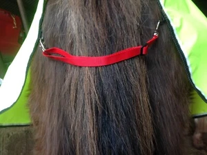 2 FILLETSTRINGS adjustable 1in wide 25mm PAIR of FILLET STRING web for rugs - Picture 1 of 31