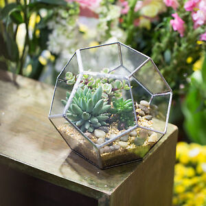 Geometric Ball Shape Plants Glass Terrarium Planter Pot Box for Christmas Presen