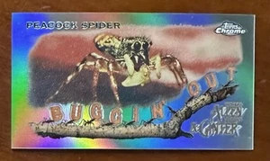 2020 Topps Allen & Ginter Chrome Buggin' Out Mini PEACOCK SPIDER #MBO-10 - Foto 1 di 2