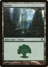 Forest (383) 10th Edition MINT Basic Land MAGIC THE GATHERING MTG CARD ABUGames