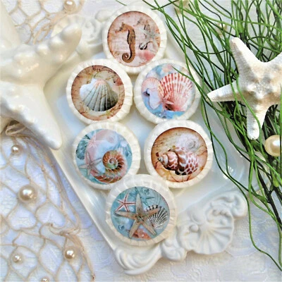 6 x Gästeseife Handseife Duftseife Maritim Mix Muscheln Seife Badezimmer WC Deko - Bild 1 von 3