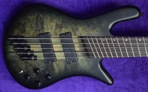 Spector NS Dimension 5, Haunted Moss / Poplar Burl / Wenge FB - Picture 1 of 7