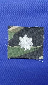 Distintivo Collare Rango US Army 002 - Foto 1 di 1