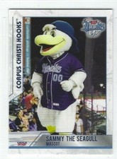 2021 Corpus Christi Hooks (Double A-Houston Astros) Sammy the Seagull (mascot)