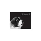 Sale Black St Bernard Design 46 x 32 " Dog Blanket Clearance