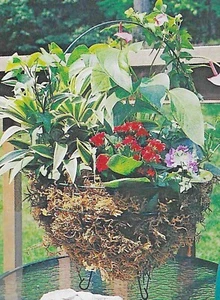 8" Topiary Green Basket with Handle Legs Wire Garden Deck Planter-NEW - Picture 1 of 4