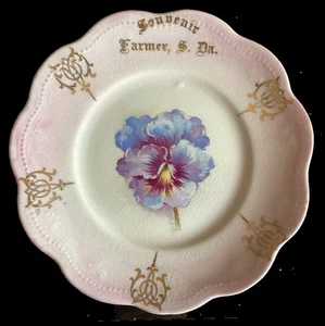 FARMER SOUTH DAKOTA SOUVENIR PLATE ANTIQUE FLORAL COLLECTOR PORCELAIN - Picture 1 of 4