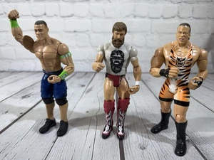 Lot Of 3 WWE Action Figures 6.5” John Cena RVD Daniel Bryan 2013 VGC! - Picture 1 of 9