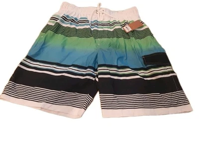 Bañador Sonoma para hombre con rayas lima, azul marino y azul nuevo con etiquetas.  Hombre Grande.  Foto 1 de 4