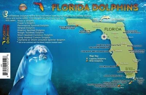 Florida Dolphins Guide Card - Imagen 1 de 2