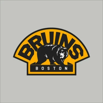 Boston Bruins #5 NHL Team Pro Sports Vinyl Sticker Decal Car Window Wall