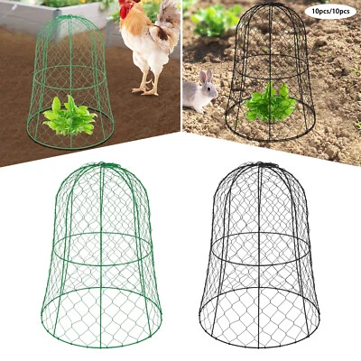 10 Piezas Jardín Pollo Alambre Cloche Grande Metal Jaula Protección Planta Cubierta Cloche Foto 1 de 4