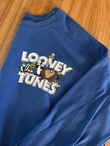 Looney Tunes Youth Crew Neck Lightweight Sweatshirt That's All Folks! Sz S - Picture 1 of 4