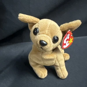 1998 Ty Beanie Baby Tiny the Chihuahua Rare - Bild 1 von 9