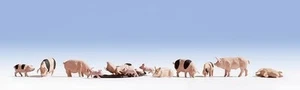 Noch 36712 Pigs 1:160 Spur N - Picture 1 of 1