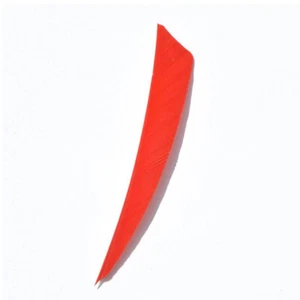 50pcs 5" Archery Arrow Natural Turkey Feathers RW LW DIY Shaft Bow Hunting - Picture 1 of 29