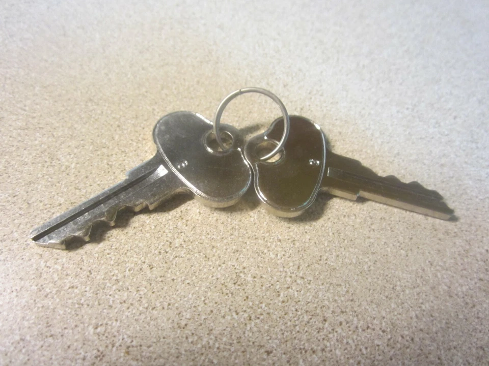 Massey Ferguson 1048684M91 (2) клавиши  - Изображение 1 из 1