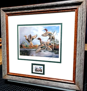 David Maass 2006 Texas Waterfowl Duck Stamp Print With Stamp - Brand New Frame - Picture 1 of 5