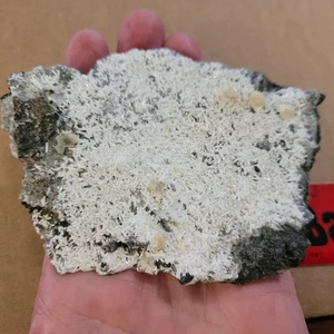 Prehnite 90g 10.5cm Mineral Specimen Virginia USA White Primatic Reticulated - Picture 1 of 13