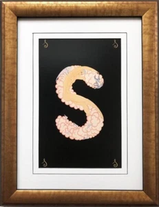 Erte "S" CUSTOM FRAMED Vintage Print Art Deco Alphabet Letter Suite NEW Fashion - Picture 1 of 3