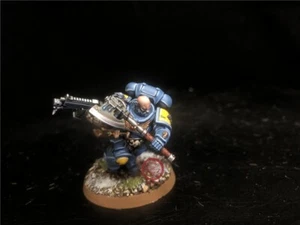 Warhammer 40K DPS painted Space Wolves Primaris Lieutenant SK4157 - Picture 1 of 6