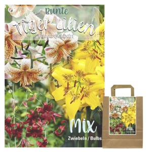 Lilienzwiebeln Sets bunte Blumenzwiebeln Lilium Zwiebeln Knollen Lilien Blüte - Bild 1 von 89