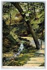 1916 Panther Hollow Walk Scene Pittsburg Pennsylvania PA Posted Trees Postcard