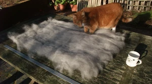 Felsted Fleece: Washed Natural and Dyed British Gotland wool Carded BATTS, UK - Picture 1 of 31