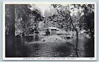 Postcard CA Santa Cruz Swimming Pool Sequoia Gardens c1930s S1