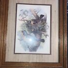 Vintage Wood Framed And Matted Nesting Pair Of Birds Print With Glass Home Int