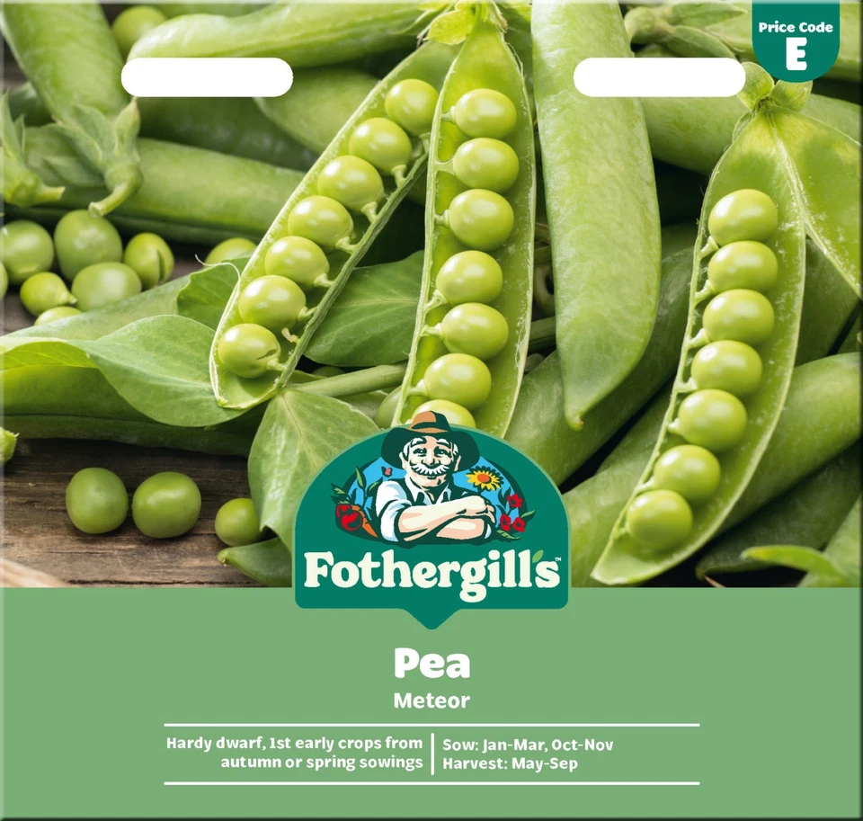 WINTER Peas Meteor HARDY Mr Fothergills Vegetable 300 Pea Seeds FREE UK DELIVERY - Image 1 of 1