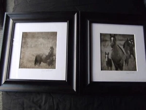 Horse Photographs in black frames signed by the photographer. - Picture 1 of 9