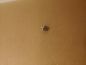 Shark AX951 AX950 AX952 AZ1002 AZ1002BRN AZ1002C AZ1000 BRUSHROLL Gear Wheel - Picture 1 of 2