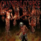 CANNIBAL CORPSE Torture BANNER HUGE 4X4 Ft Fabric Poster Tapestry Flag album art