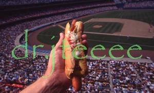 Dodger Dog LOS ANGELES DODGERS - 35mm Baseball Slide - Picture 1 of 1
